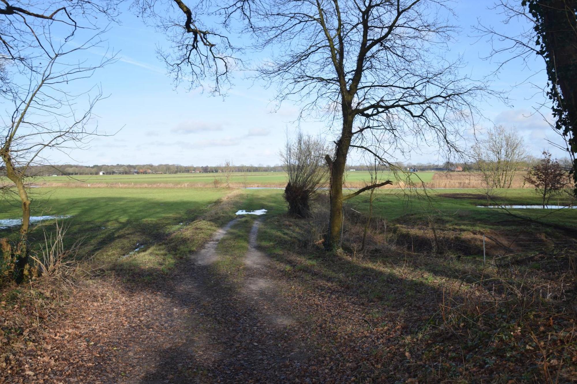 Vakantiehuis De Veldhoen Vrijgelegen Nabij De Rivier De Vecht Beerze Exteriör bild